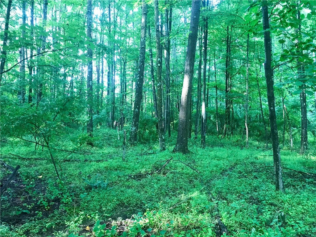 0 Palko Road