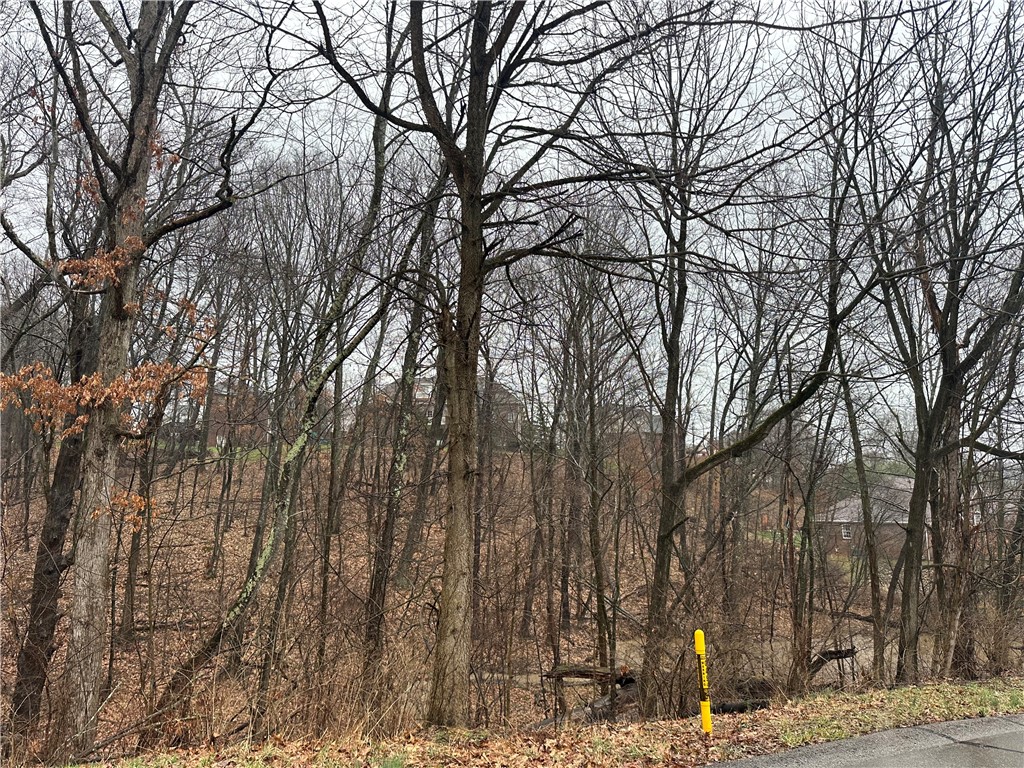 Lot #2 Woodhaven Drive