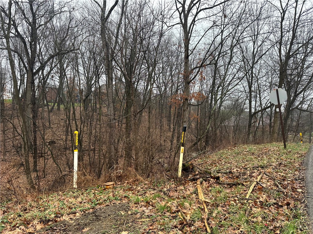 Lot #2 Woodhaven Drive