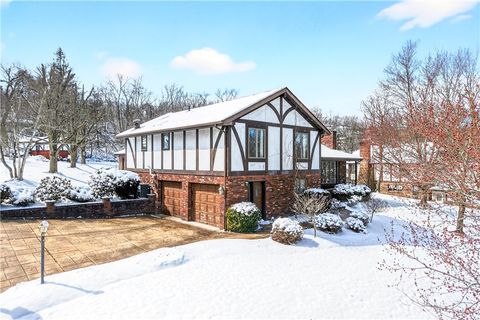 16 RIDGEWOOD DRIVE Cecil PA 15057