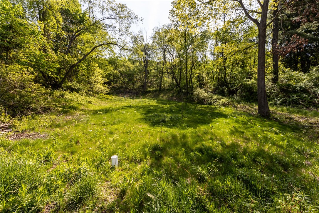 A Pennylvania Ave, New Stanton, Pennsylvania image 3