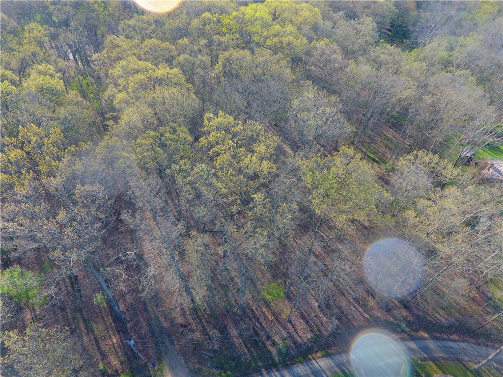 Swallow Rd, Loyalhanna, Pennsylvania image 2