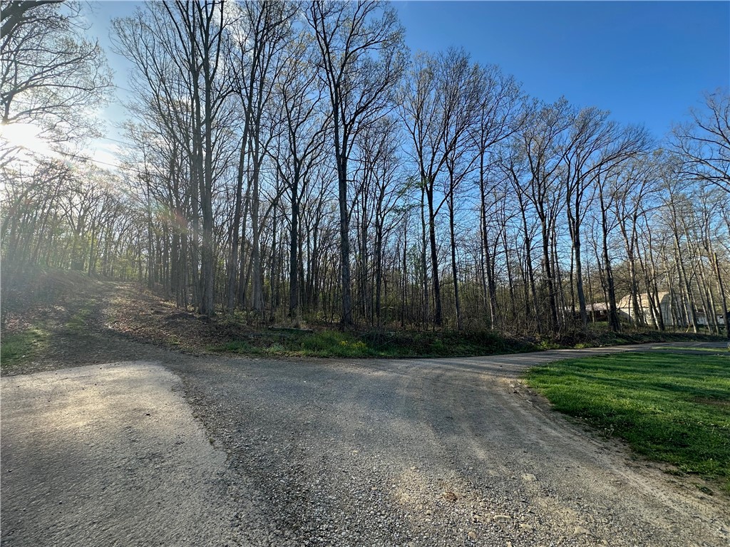 Swallow Rd, Loyalhanna, Pennsylvania image 10