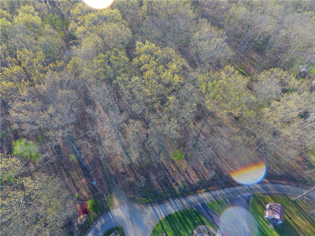 Swallow Rd, Loyalhanna, Pennsylvania image 1