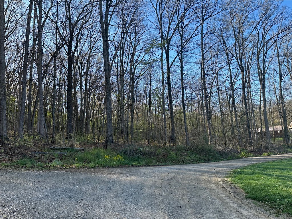 Swallow Rd, Loyalhanna, Pennsylvania image 9