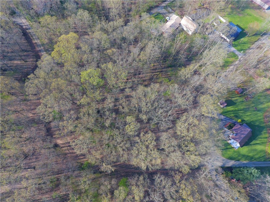 Swallow Rd, Loyalhanna, Pennsylvania image 4