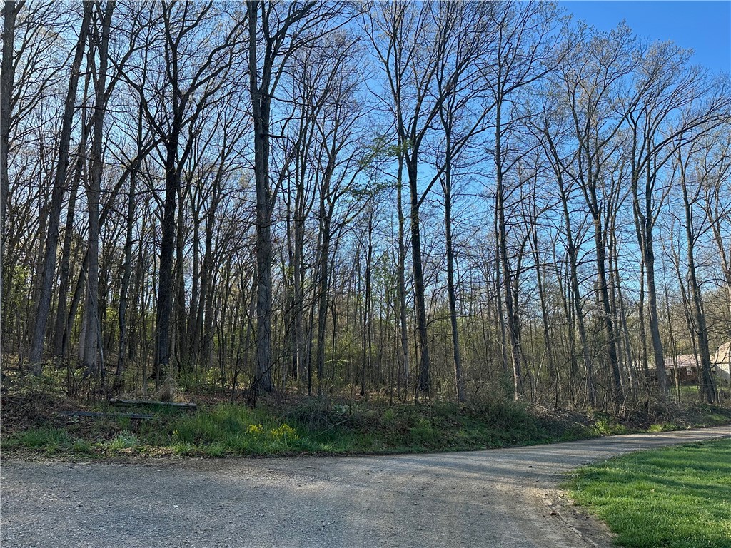 Swallow Rd, Loyalhanna, Pennsylvania image 12