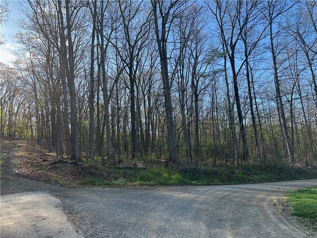 Swallow Rd, Loyalhanna, Pennsylvania image 8