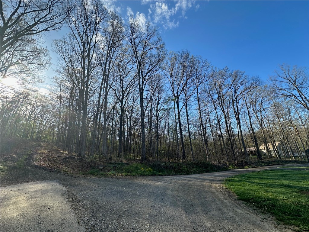 Swallow Rd, Loyalhanna, Pennsylvania image 11