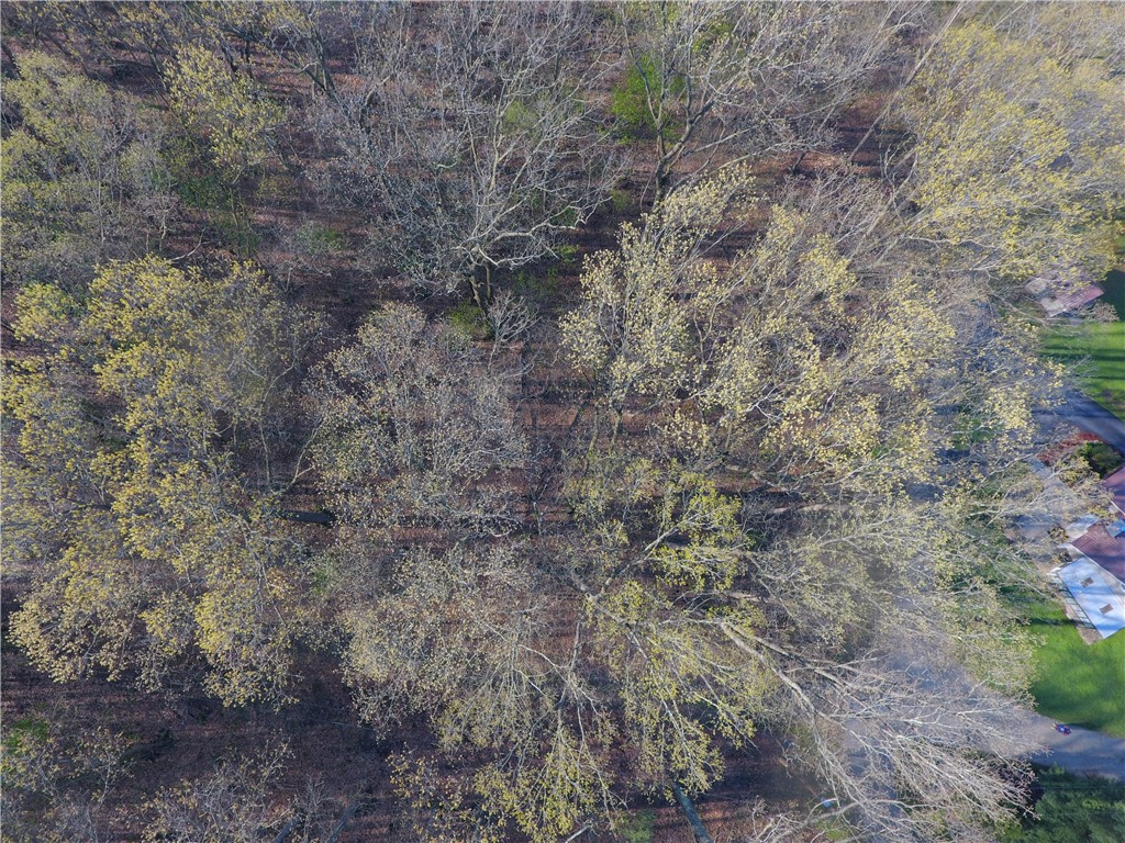 Swallow Rd, Loyalhanna, Pennsylvania image 3