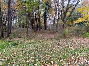 Featured picture for the property 1749091