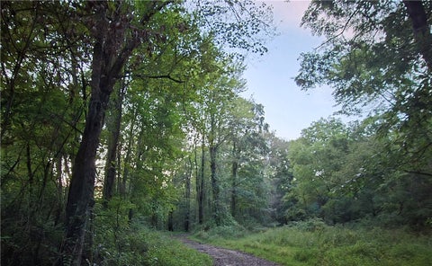 Vacant Land For Sale - LOT 2 Taggert Road Crolls Mill Rd<br/> West Liberty Boro, PA 16057