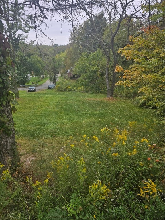 0 Willow Drive