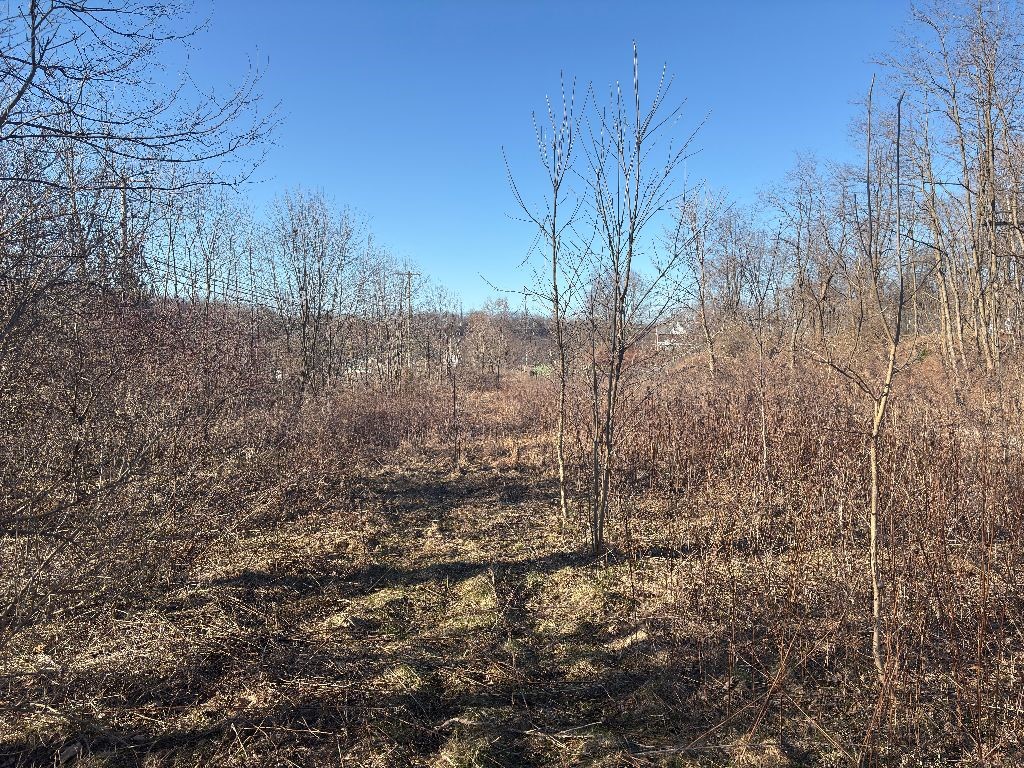 Country Club Dr, Franklin, Pennsylvania image 14