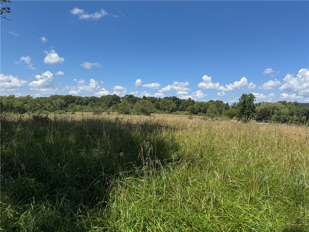 0 Kissell Springs Rd