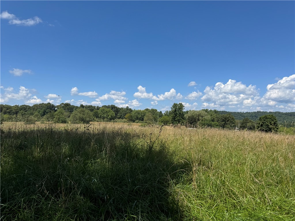 0 Kissell Springs Rd