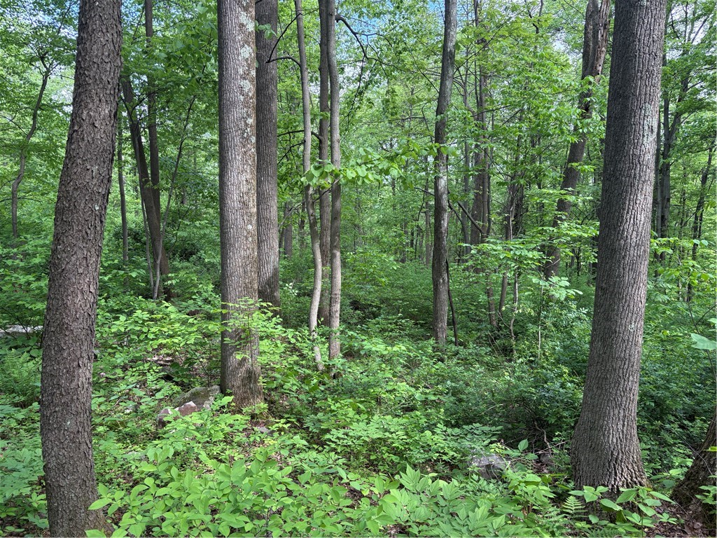 Lot 1C Cottonwood Rd