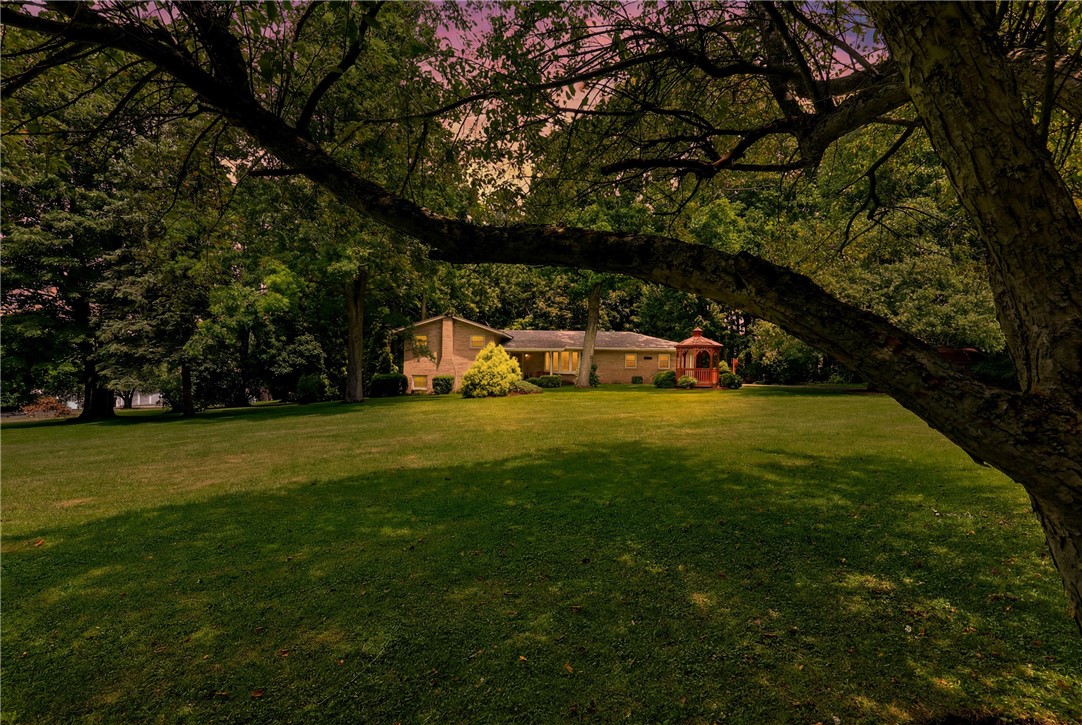 202 Culligan Rd