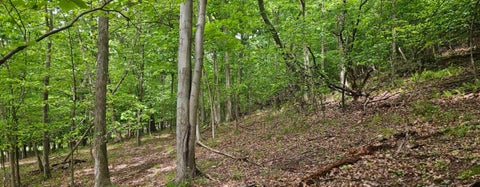 Photo for 0000 Reservoir Road