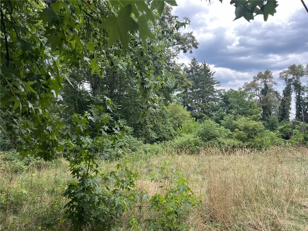 248 Harrison Road