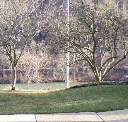 1255 Park Place Pl, Beaver, Pennsylvania image 27