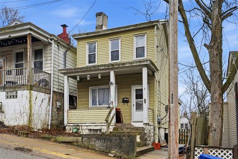 127 Tuscola Street Mt Washington PA 15211