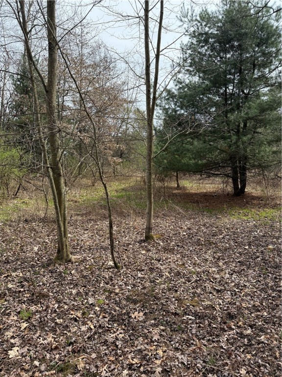 Walker Farm Rd, Rimersburg, Pennsylvania image 3