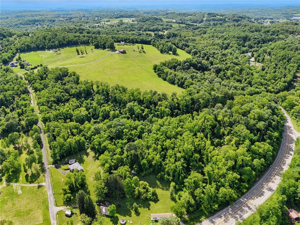390 Wilson Road Rd, California, Pennsylvania image 50