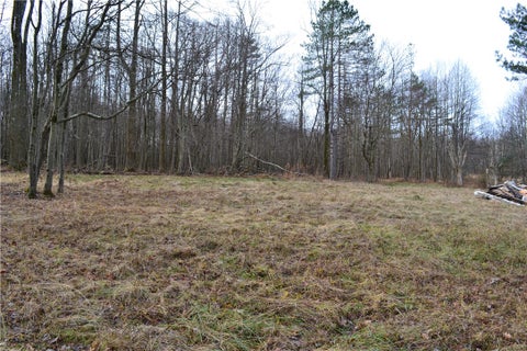 Photo for LOT 23 Horseshoe Bend Rd.