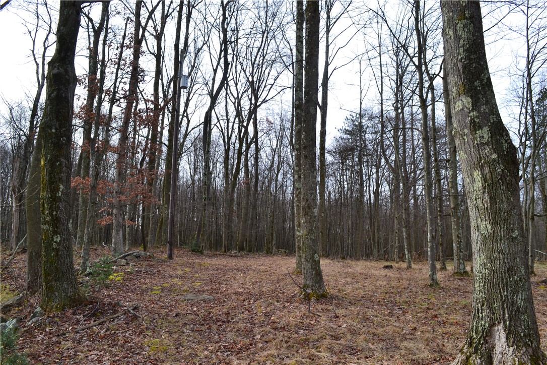 LOT 23 Horseshoe Bend Rd.