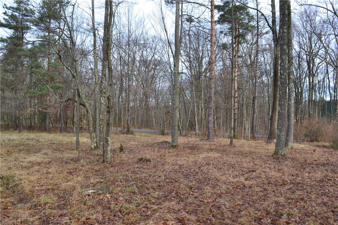 LOT 23 Horseshoe Bend Rd.