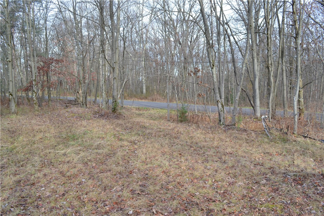 LOT 23 Horseshoe Bend Rd.