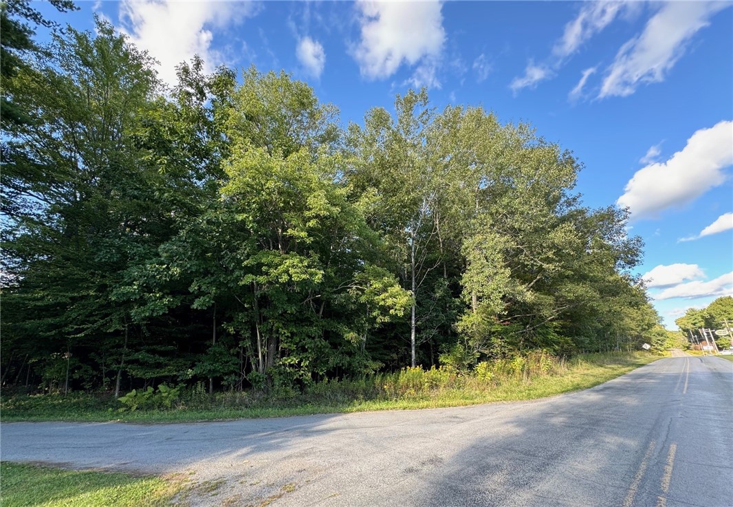 LOT 1 & 12 Danner Dr, Canadohta Lake, Kentucky image 2
