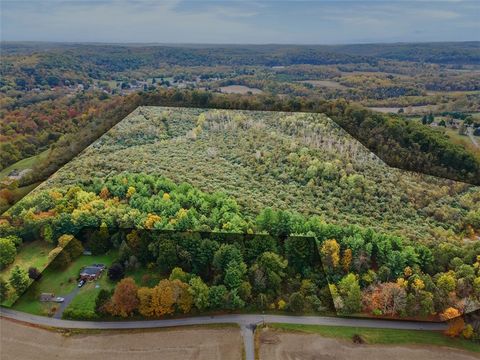 Photo of 000 White Church Rd, New Galilee, PA 16141 (MLS # 1739999)