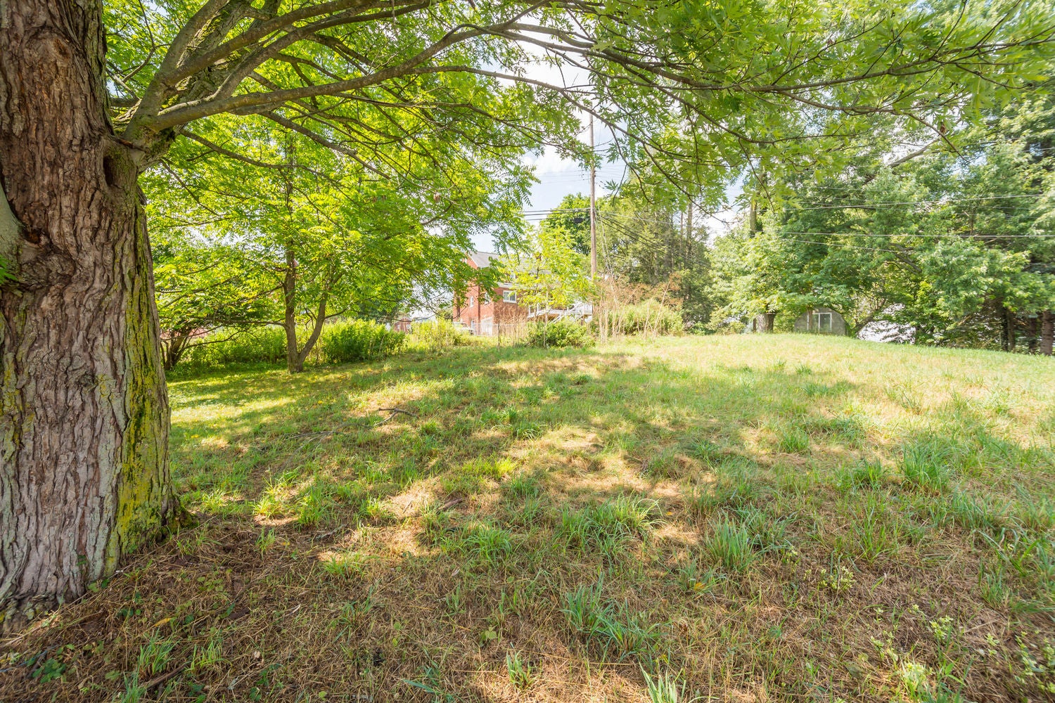 163 Senate Drive