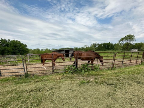 Featured picture for the property 1606849