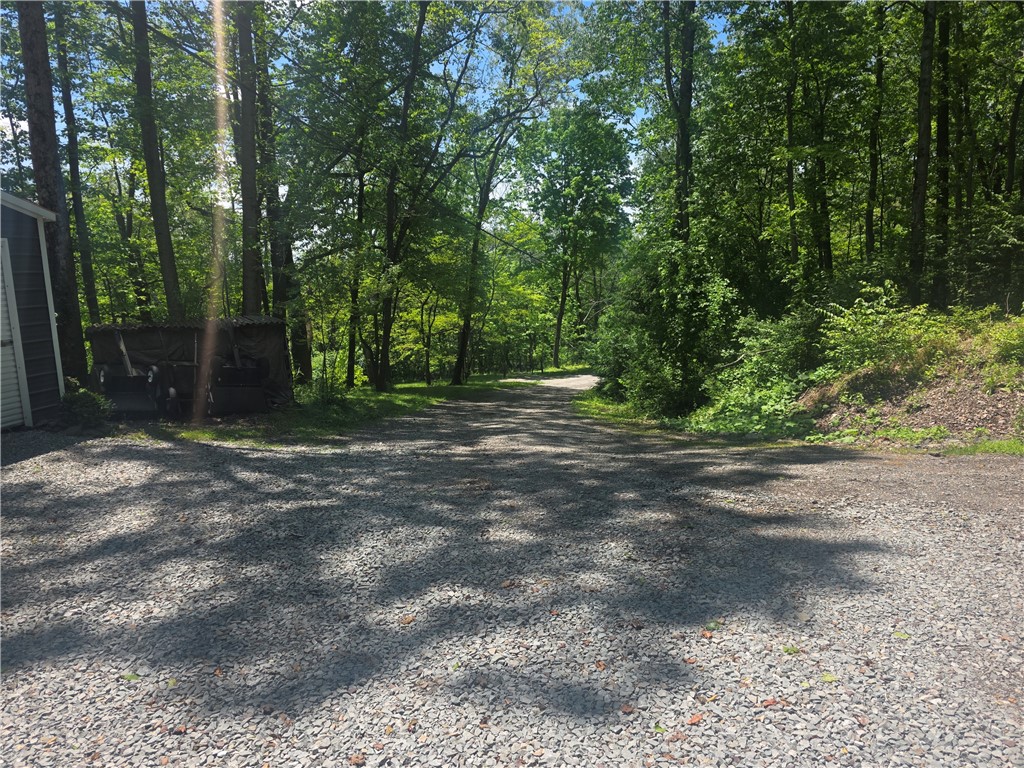 117 Mcginnis Ln