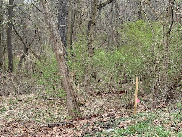 1765 Locust Rd