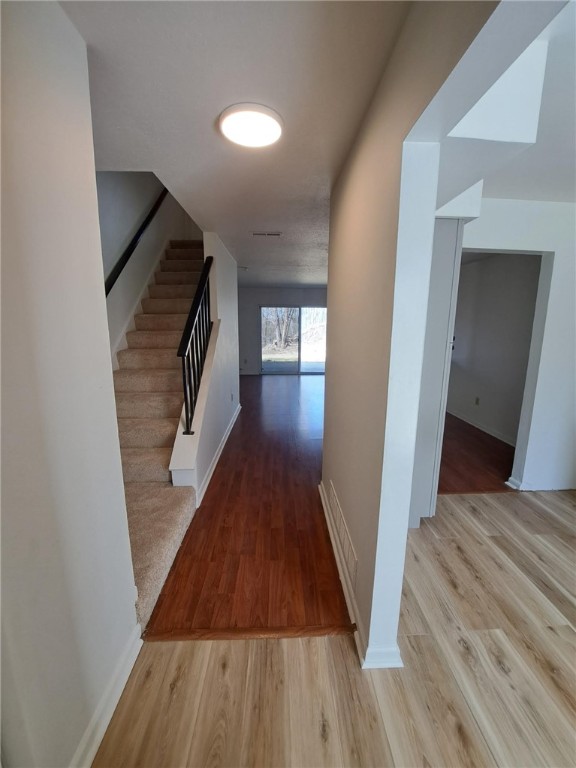 115 College Park Dr
