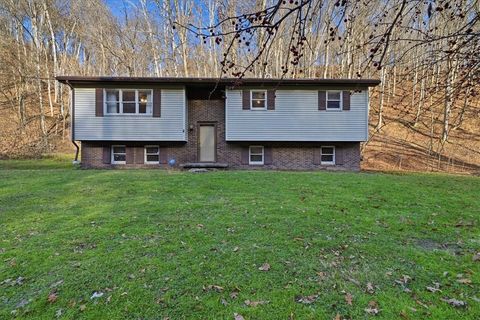 Photo of 1035 California Dr, Coal Center, PA 15423 (MLS # 1731895)