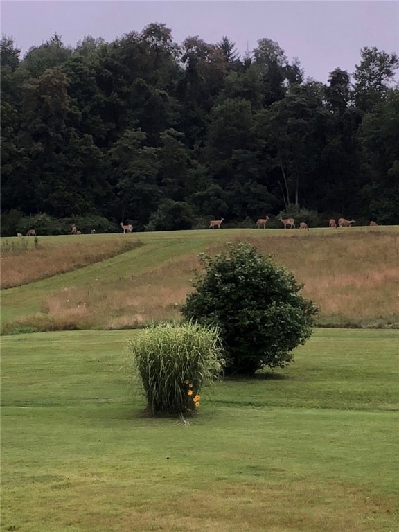 Montgomery/Grant, Pennsylvania 15741, United States, 3 Bedrooms Bedrooms, ,2 BathroomsBathrooms,Residential,Pending,14785