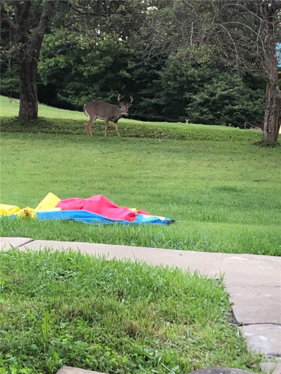 Montgomery/Grant, Pennsylvania 15741, United States, 3 Bedrooms Bedrooms, ,2 BathroomsBathrooms,Residential,Pending,14785