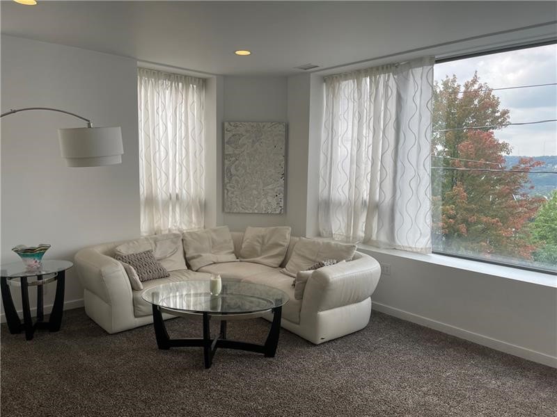 Polish Hill, Pennsylvania 15213, United States, ,Commercial,Active,48591