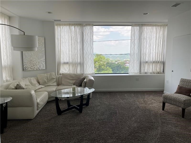 Polish Hill, Pennsylvania 15213, United States, ,Commercial,Active,48591