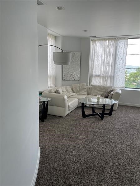 Polish Hill, Pennsylvania 15213, United States, ,Commercial,Active,48591