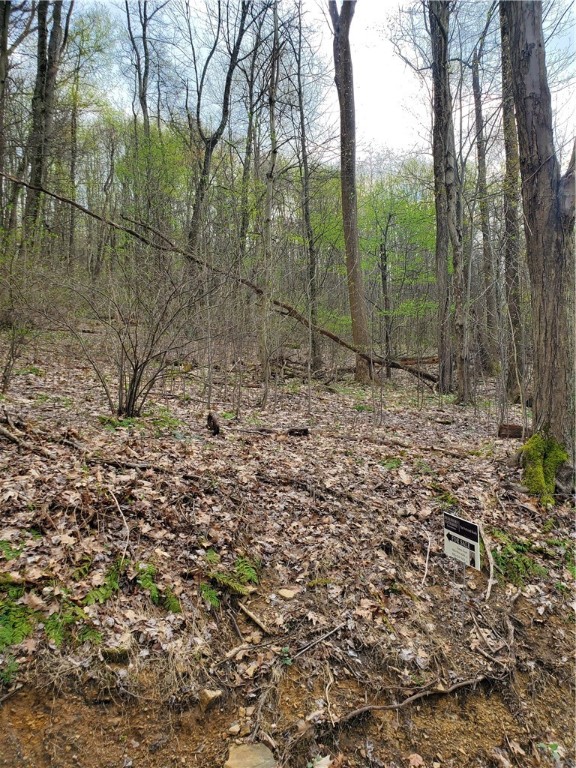 Bullskin Twp, Pennsylvania 15610, United States, ,Residential,Active,60300