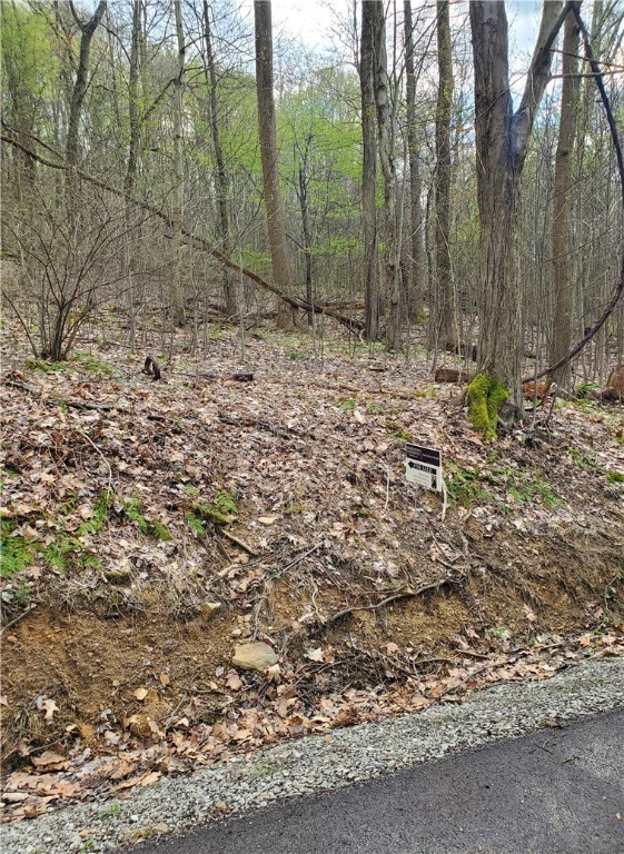 Bullskin Twp, Pennsylvania 15610, United States, ,Residential,Active,60300