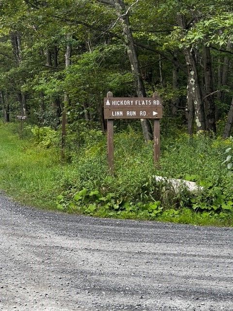 Vacant Land For Sale - 370 Old Hickory Flt Flt<br/> Jefferson Twp, PA 15501