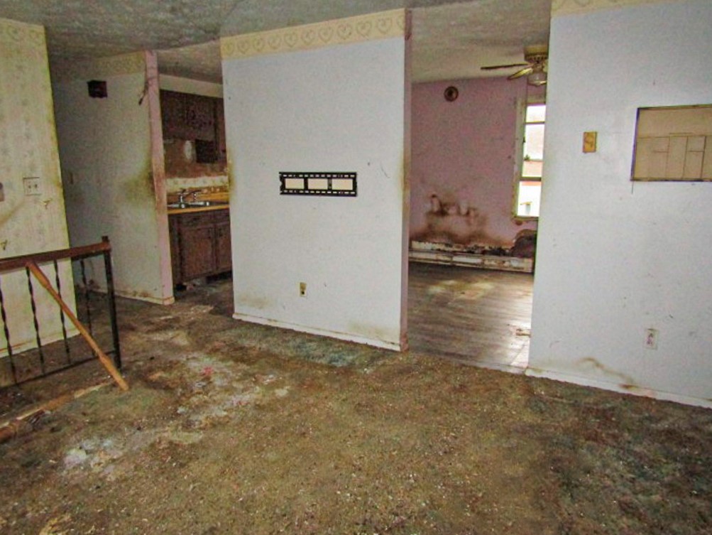 261 Mccarrell Rd Rd, Mt. Pleasant Twp - WAS, Kentucky image 6
