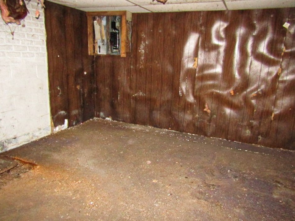 261 Mccarrell Rd Rd, Mt. Pleasant Twp - WAS, Kentucky image 18